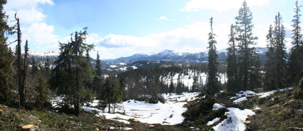 Panoramautsikt fra toppen av hyttefeltet